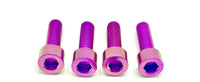 Titanium Formula E-Moto Brake Handle-Mount Bolts