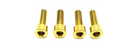 Titanium Formula E-Moto Brake Handle-Mount Bolts