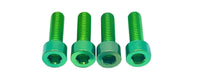Titanium Formula E-Moto Brake Handle-Mount Bolts